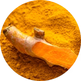 Curcuma Stem Cell Extract